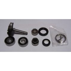 Vízpumpa javító szett PIAGGIO 250 4T (Beverly RST) RMS