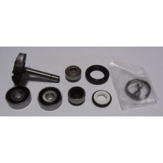 Vízpumpa javító szett PIAGGIO 250 4T (Beverly RST) RMS