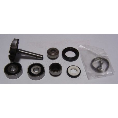 Vízpumpa javító szett PIAGGIO 250 4T (Beverly RST) RMS