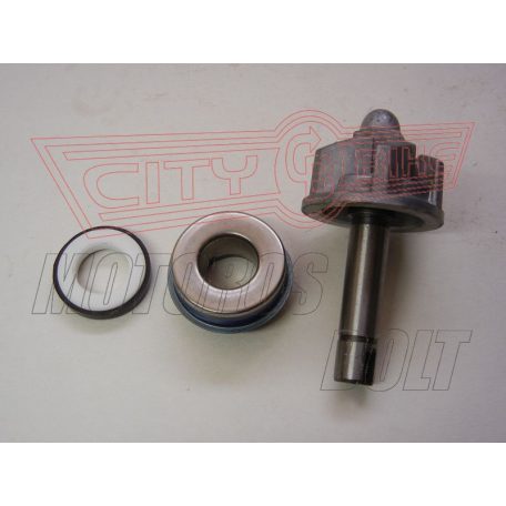 Vízpumpa javító szett APRILIA LEONARDO  250 99-01 RMS