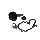 Vízpumpa javító szett AM 6   VICMA