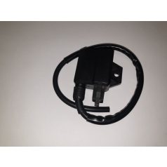 Gyújtáselektronika (CDI) SUZUKI HIUP, CARNA (TW)