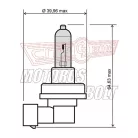 Izzó 12V 35W H8 RMS