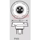Izzó 12V 45/40W P45T RMS