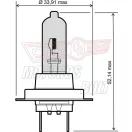 Izzó 12V 55W H7 RMS Izzó 12V 55W H7 RMS