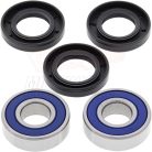 Kerékcsapágy-szett Suzuki GSF 600 05-07 ALL Balls