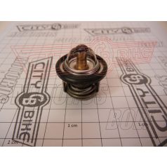 Termosztát Piaggio 125-300