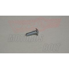Csavar M5X16 (Aprilia burkolathoz)