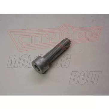 Csavar tükörhöz SR FACTORY M8x30 balmenet!!!