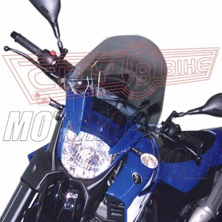 Plexi-szélvédő Yamaha XT 660 R / XT 660 X (04-06) / Yamaha XT 660 R / XT 660 X (07-16) GIVI