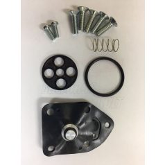 Benzincsap-felújító Kawasaki ER-5 1997-2005