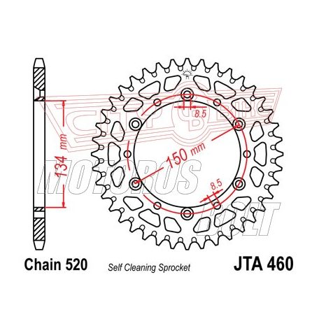 Lánckerék hátsó JT 460