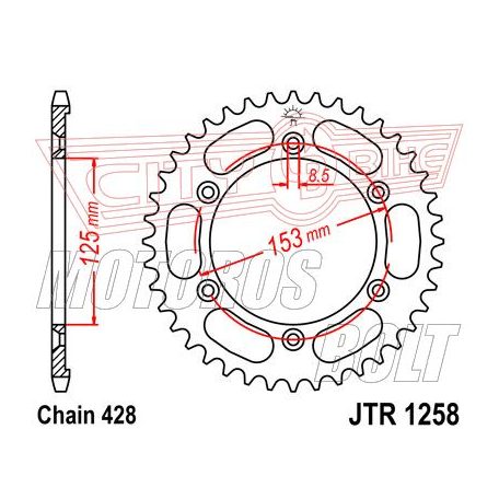 Lánckerék hátsó JT 1258