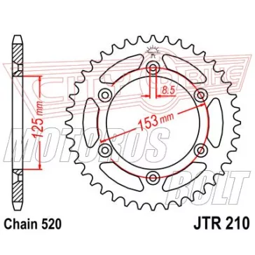 Lánckerék hátsó JT 210