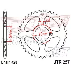 Lánckerék hátsó JT 257