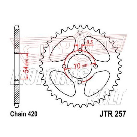 Lánckerék hátsó JT 257