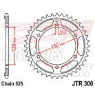 Lánckerék hátsó JT 300-42