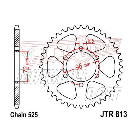 Lánckerék hátsó JT 813