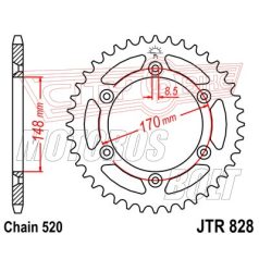 Lánckerék hátsó JT 828