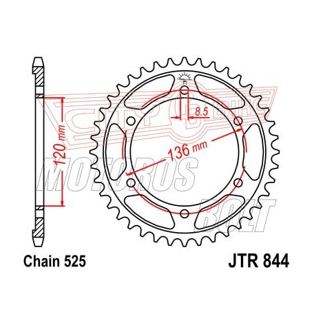 Lánckerék hátsó JT 844