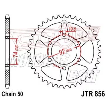 Lánckerék hátsó JT 856