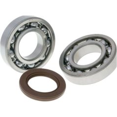 Főtengelycsapágy+szimering szett SUZUKI BURGMAN 250/400