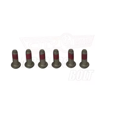 Csavar Féktárcsához TRW M8x25mm (6 db-os szett)