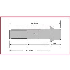 Csavar Féktárcsához TRW  M8x20,75mm ( 5 db-os szett )