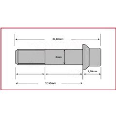 Csavar Féktárcsához TRW  M8x32,50mm ( 5db-os szett )