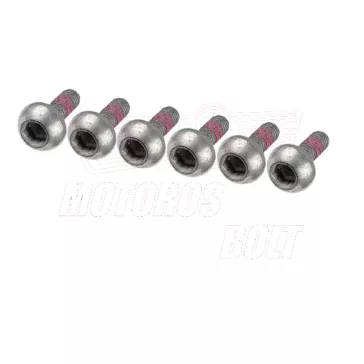 Csavar Féktárcsához TRW M6x17mm (6db-os szett)