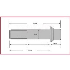 Csavar Féktárcsához TRW  M6x17mm ( 6db-os szett )