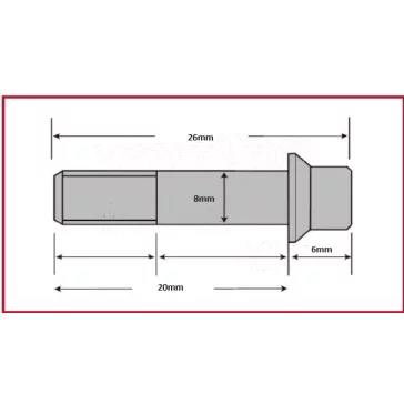 Csavar Féktárcsához TRW M8x20mm (6 db-os szett)