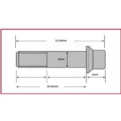 Csavar Féktárcsához TRW  M8x30,50mm ( 6 db-os szett )