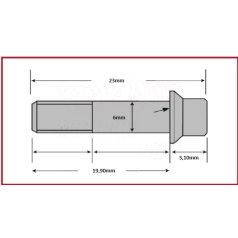 Csavar Féktárcsához TRW  M6x19,90mm ( 6 db-os szett )