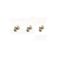 Csavar Féktárcsához TRW  M6x10,50mm (6 dbos szett )