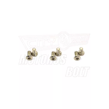 Csavar Féktárcsához TRW M6x10,50mm (6 dbos szett)