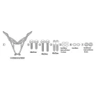 Csomagtartó BMW CE 02 (2024-2026) GIVI