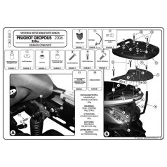 Csomagtartó Peugeot Geopolis 250 (07-12) GIVI
