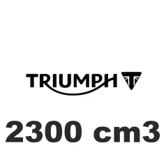 2300 cm3