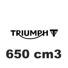 650 cm3