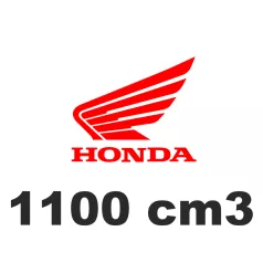 1100 cm3