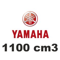 1100 cm3