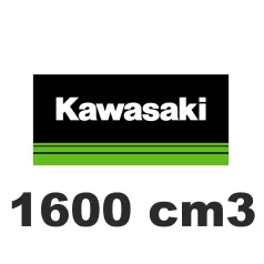 1600 cm3