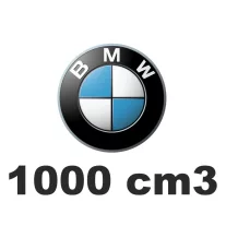 1000 cm3