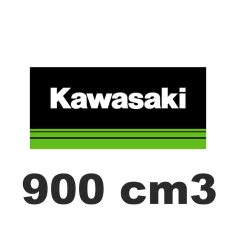 900 cm3