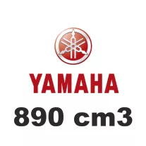 890 cm3