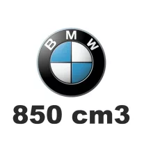 850 cm3