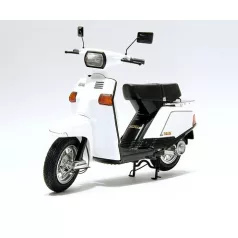 Beluga 125