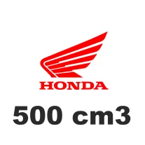 500 cm3