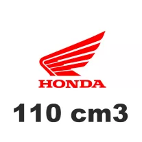110 cm3